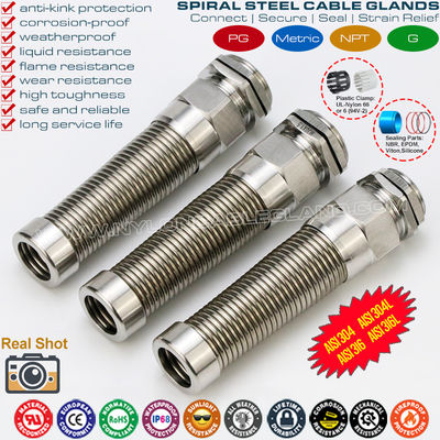 AISI 316L, AISI 316, AISI 304 Edelstahl PG Spiralkabelverschraubung (IP68) mit zusätzlicher Zugentlastung