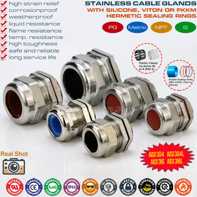 SS304, SS316, SS316L Edelstahl PG Kabelverschraubungen IP68 wasserdichte Metallstopfbuchsen mit Fluorkautschukdichtungen